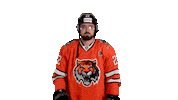 Tiger Habarovsk Sticker by HC Amur
