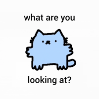 Spainnubcat GIF