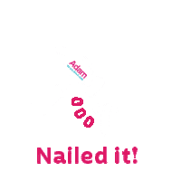 WeAreAdam interview job nailed it recruitment Sticker