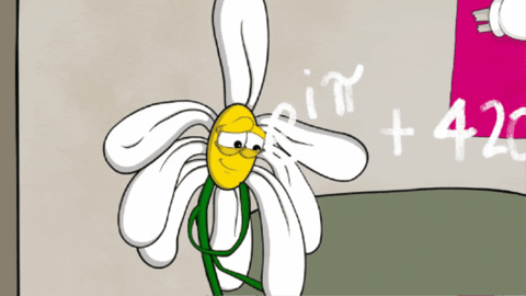 PettySnacks giphygifmaker confused thinking 420 GIF