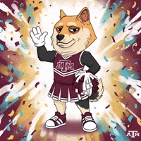 Celebrating College Sports GIF by Doge Pound