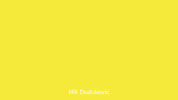 animation loop GIF by Nik Dudukovic