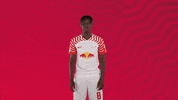 Come On No GIF by RB Leipzig