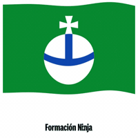 Flag Spain GIF by Formación Ninja