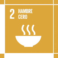 Ods Act4Sdg GIF by MY World Mexico