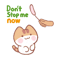 Cat Dont Stop Sticker