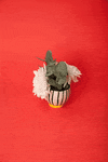 Design Flower GIF by Les canailles