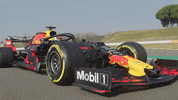 redbullracing car racing race f1 GIF