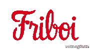 maturattafriboi friboi do chef friboi reserva friboi 1953 friboi Sticker