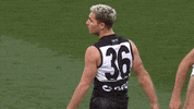 Celebration Goal GIF by Port Adelaide FC