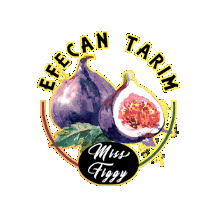 Missfiggy Sticker by Efecantarim