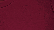 College Baseball GIF by Pearl River Athletics