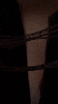 Thelastofus2 Abbyanderson GIF by Youtooz