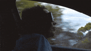 Dakota Johnson GIF by NETFLIX