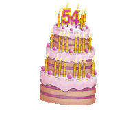 WynstanwithaY birthdaycake wynstan wynstanwithay bday sale blowout Sticker