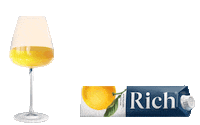 Orange Juice Art Sticker by Rich