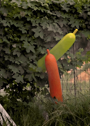 exploding balloons