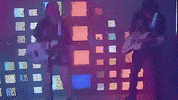 GIF by Magdalena Bay