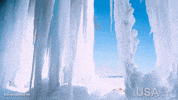 america wild GIF by Go USA Kr