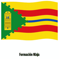 Flag Spain GIF by Formación Ninja