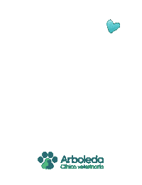 Fiestas Patrias Dog Sticker by arboledavet