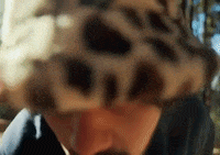 Ditto GIF by Aries
