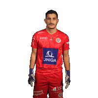 Bravo Vienna Sticker by FirstViennaFC