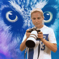 National Team Football GIF by Suomen jalkapallo- ja futsalmaajoukkueet