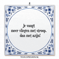 Humor Nl GIF by Tegelspreuken.nl
