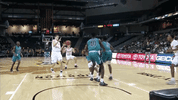 nku nkunorse GIF by Northern Kentucky University Athletics