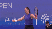 Kasatkina GIF