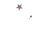 sociallyangela camera flash photograph angieco Sticker