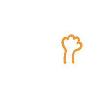 Cats Kittens Sticker by Mister Puss