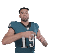 Philadelphia Eagles Football Sticker by NFL