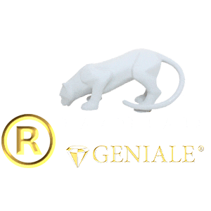 Geniale giphyupload geniale genialevasos geniale genialevasos Sticker