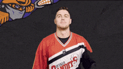 Sport Wink GIF by Buffalo Bandits