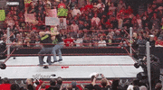 triple h wrestling GIF by WWE