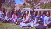 uf GIF by University of Florida College of Education