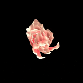 Cuteshitkids giphyupload flower nft cuteshitkids GIF