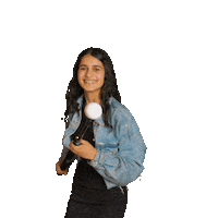 Hethooghuis reporter stadion vis vraag Sticker