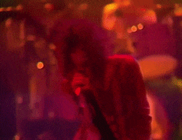 Steven Tyler 1970S GIF by Aerosmith