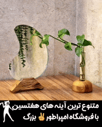 Mirror Vase GIF