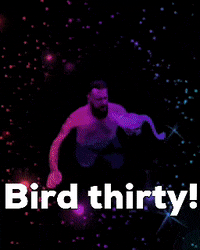 Birdbong GIF by Bleu Eyed View