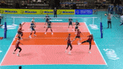 GIF by Volleyball World
