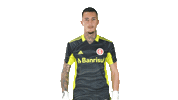Vamointer Diadeinter Sticker by Sport Club Internacional