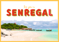 Senegal Lutz Sticker by XXXLutz Österreich