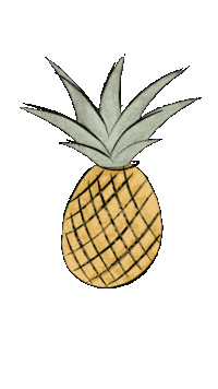 Pineapple Abacaxi Sticker