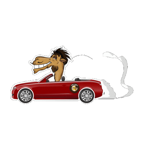 Happy Abu Dhabi Sticker by Camel Cookies