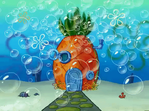 season 5 episode 13 GIF by SpongeBob SquarePants