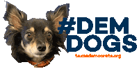 texasdemocrats dog dogs puppy texas Sticker